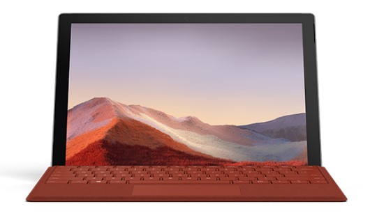 康乐清洁和维护 Surface